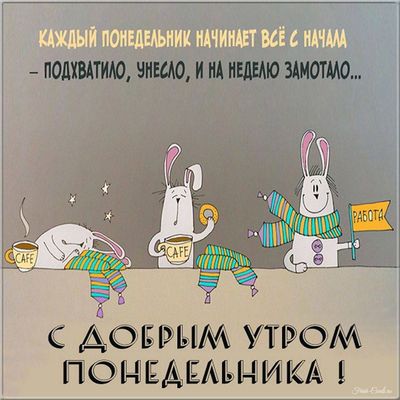 Открытка «С добрым утром»: С добрым утром понедельника: уносимся в неделю!. Тэги: хорошего дня, животное, пожелание…