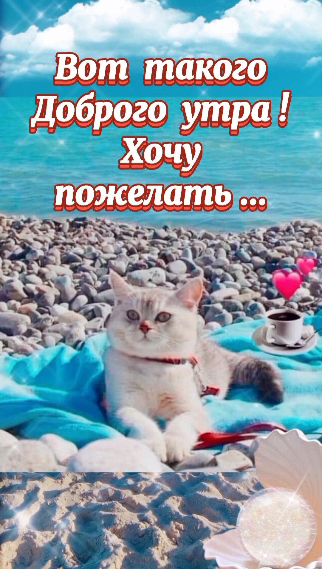 Открытка «С добрым утром»: Нежное летнее утро с котом у моря. Тэги: кот, пожелание, позитивная, отличное настроение…