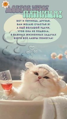 Открытка «С добрым утром»: Доброе утро, пятница! Счастье, удача и лавры!. Тэги: хорошего дня, кот, животное, пожелание…