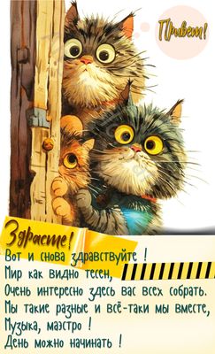Открытка «С добрым утром»: С добрым утром от пушистых друзей!. Тэги: кот, животное, пожелание, позитивная, отличное н…