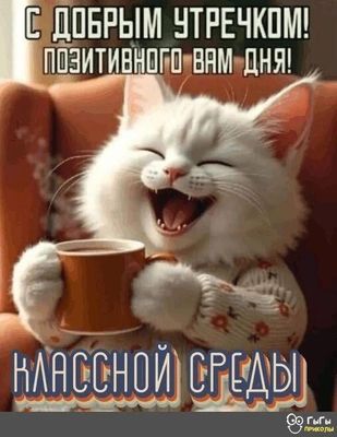Открытка «С добрым утром»: Позитивное доброе утро и классная среда с котиком!. Тэги: хорошего дня, кот, животное…