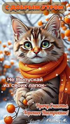 Открытка «С добрым утром»: С добрым утром! Пусть удача будет в твоих лапках!. Тэги: хорошего дня, кот, животное…