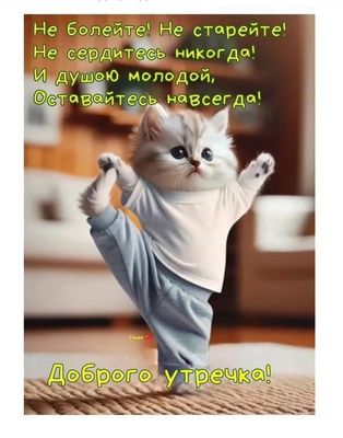 Открытка «С добрым утром»: С добрым утром! Бодрости, здоровья и молодости!. Тэги: хорошего дня, кот, животное, пожела…