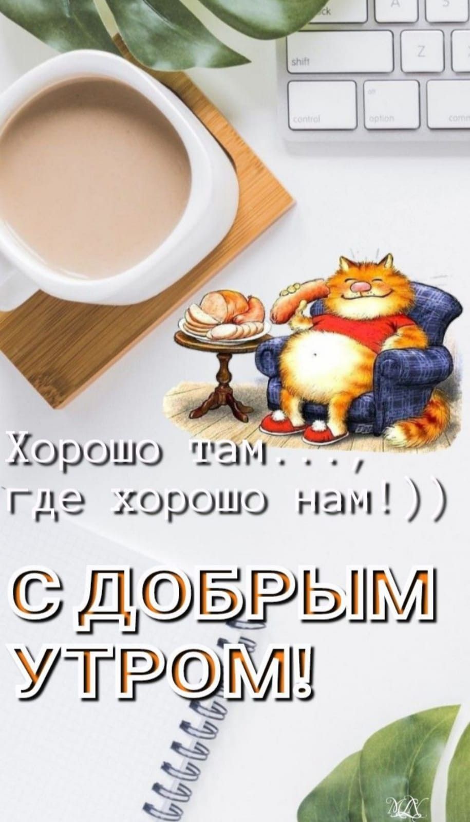 Открытка «С добрым утром»: Хорошо там, где хорошо нам! С добрым утром!. Тэги: хорошего дня, кот, животное, пожелание…