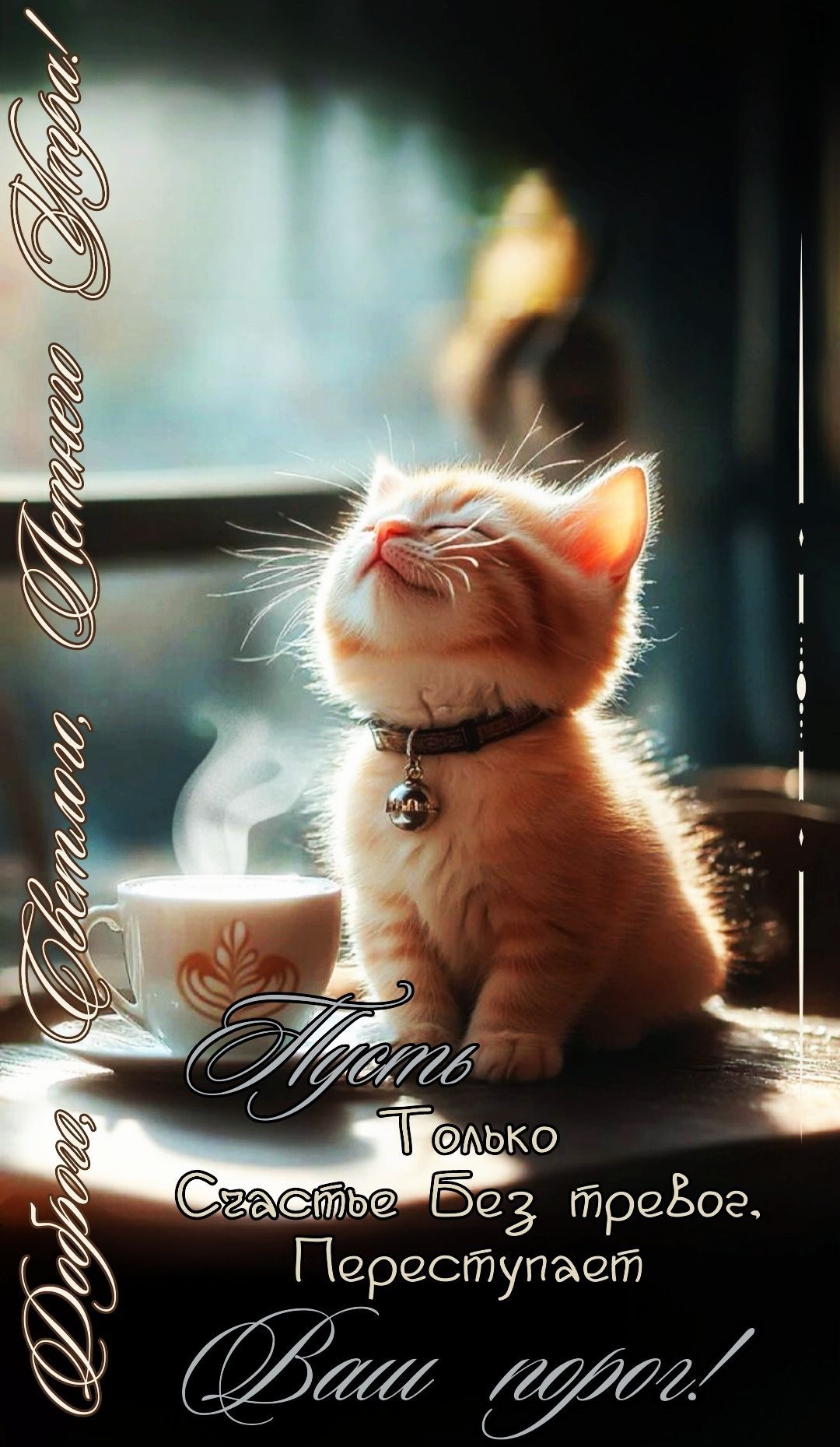 Открытка «С добрым утром»: Пушистое доброе утро: счастье без тревог!. Тэги: С добрым утром, для поднятия настроением!…