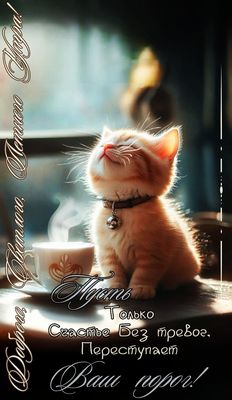 Открытка «С добрым утром»: Пушистое доброе утро: счастье без тревог!. Тэги: С добрым утром, для поднятия настроением!…