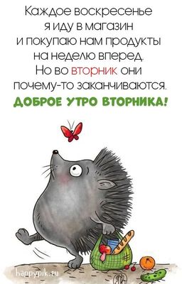 Открытка «С добрым утром»: Доброе утро вторника: Ежик с юмором и продуктами. Тэги: Добрый день, С добрым утром во вто…