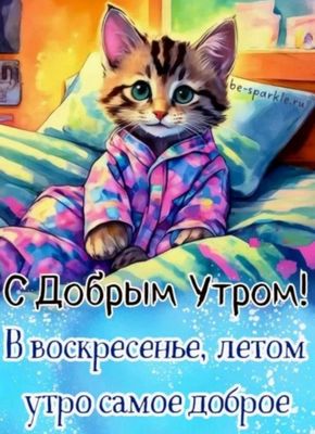 Открытка «С добрым утром»: Доброе летнее утро в воскресенье с милым котенком. Тэги: С добрым, летним утром, С добрым…