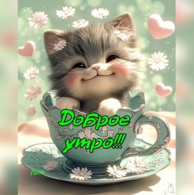 Открытка «С добрым утром»: Пушистый котенок в чашке: Доброе утро!. Тэги: кот, животное, пожелание, позитивная, отличн…