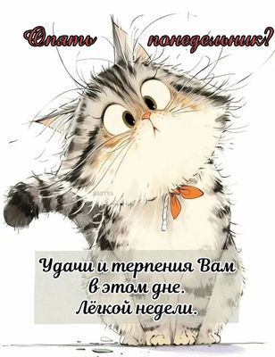 Открытка «С добрым утром»: С добрым утром! Кот удивлен: Опять понедельник?. Тэги: хорошего дня, кот, животное, пожела…