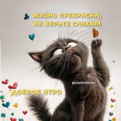 Открытка «С добрым утром»: Доброе утро: Жизнь прекрасна, не верьте слухам!. Тэги: кот, животное, пожелание, позитивная…