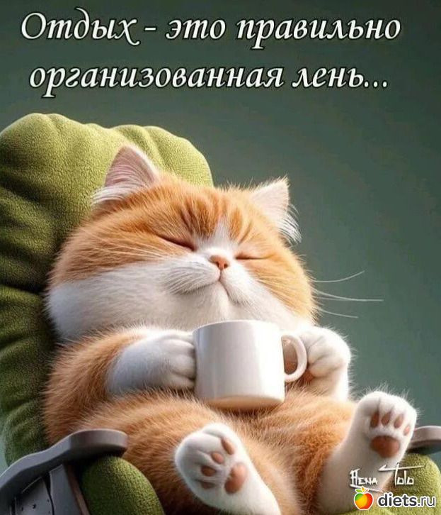 Открытка «С добрым утром»: Пушистое утро и правильно организованная лень. Тэги: кот, животное, пожелание, позитивная…