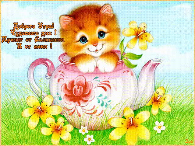 Открытка «С добрым утром»: Доброе утро! Пушистый привет от котика. Тэги: хорошего дня, кот, животное, пожелание…