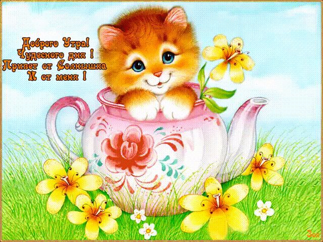 Открытка «С добрым утром»: Доброе утро! Пушистый привет от котика. Тэги: хорошего дня, кот, животное, пожелание…