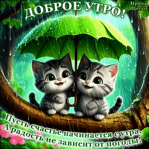 Открытка «С добрым утром»: Доброе утро: милые котята под зонтом и радость. Тэги: хорошего дня, кот, животное, пожелан…