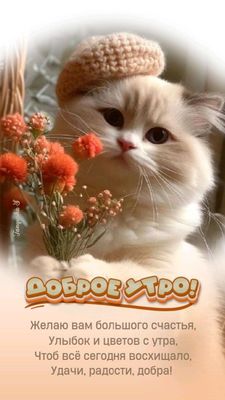 Открытка «С добрым утром»: Милый котёнок с беретом и цветами желает доброго утра. Тэги: кот, животное, пожелание…