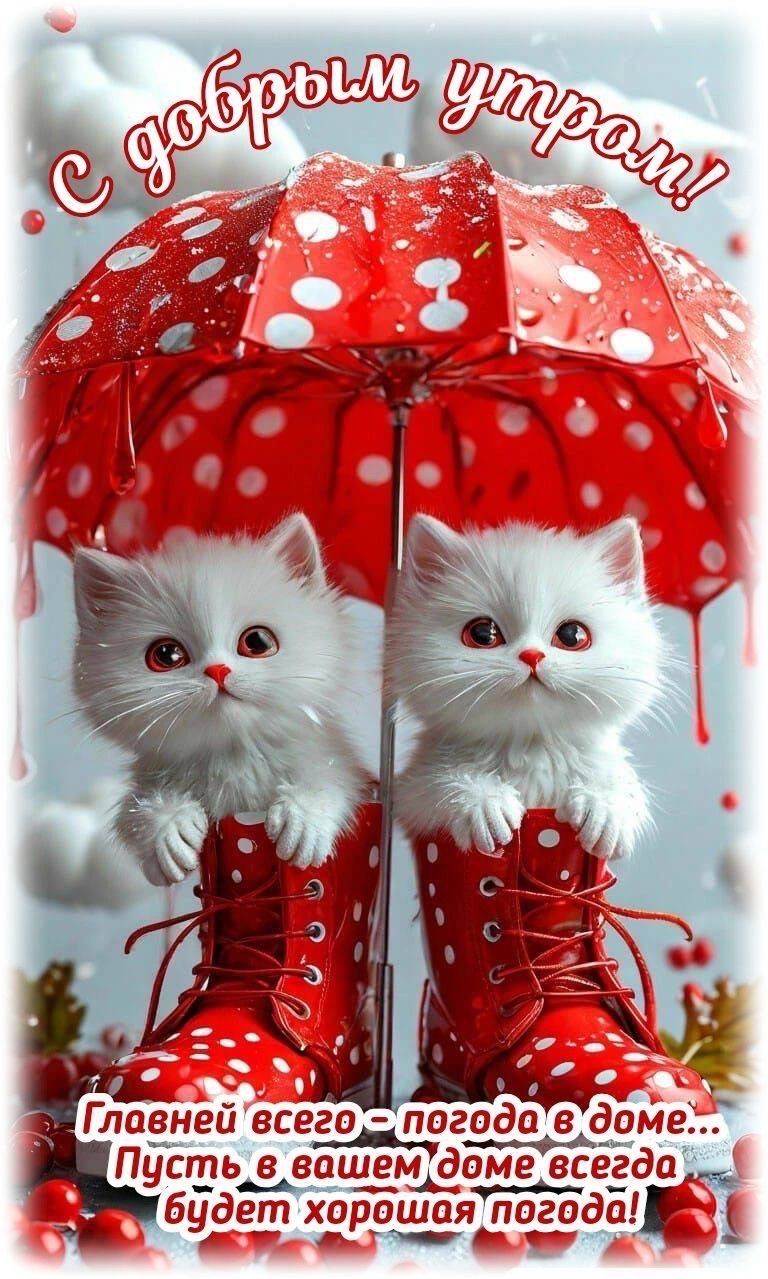 Открытка «С добрым утром»: С добрым утром! Тепло и уют в доме с котятами. Тэги: хорошего дня, кот, животное, пожелание…
