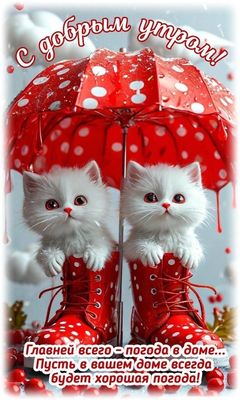 Открытка «С добрым утром»: С добрым утром! Тепло и уют в доме с котятами. Тэги: хорошего дня, кот, животное, пожелание…