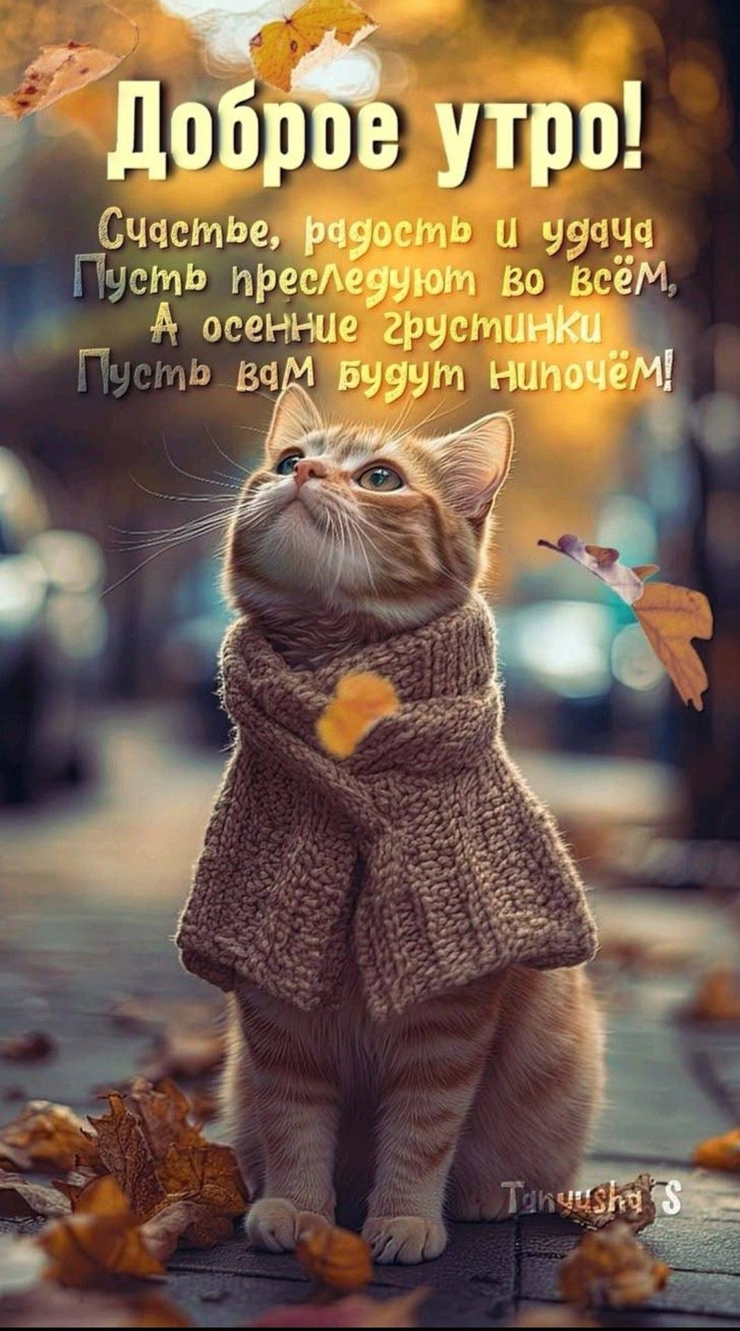 Открытка «С добрым утром»: С добрым утром! Осенний уют и тёплые пожелания.. Тэги: С добрым осенним утром, С добрым ут…