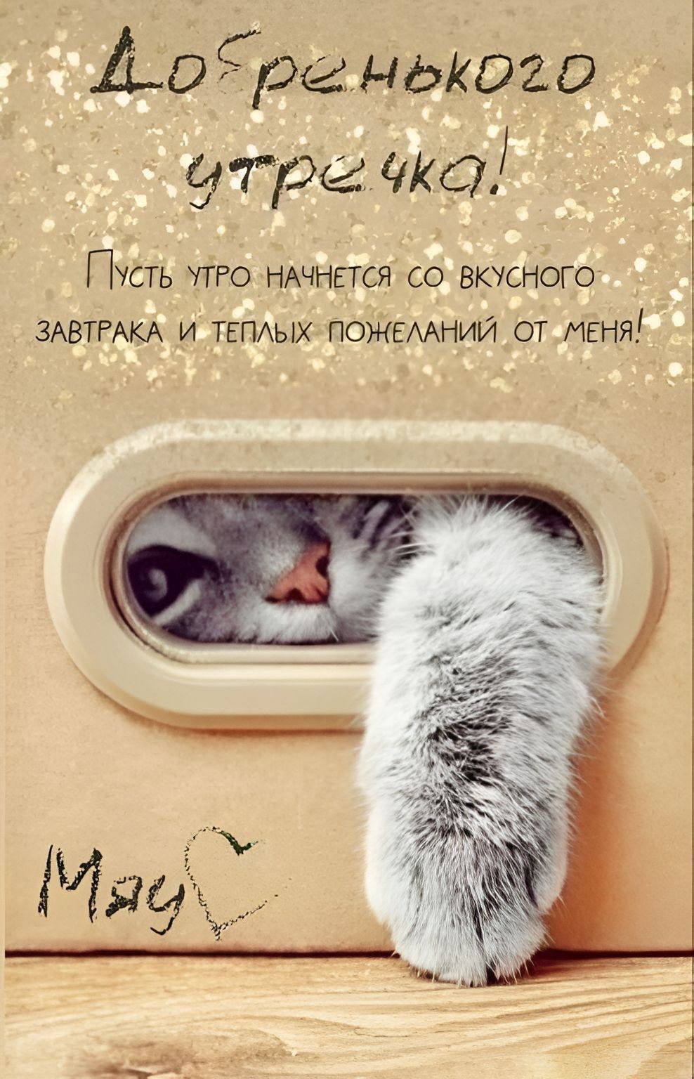 Открытка «С добрым утром»: Пушистое доброе утречко и теплые пожелания!. Тэги: кот, животное, пожелание, позитивная…