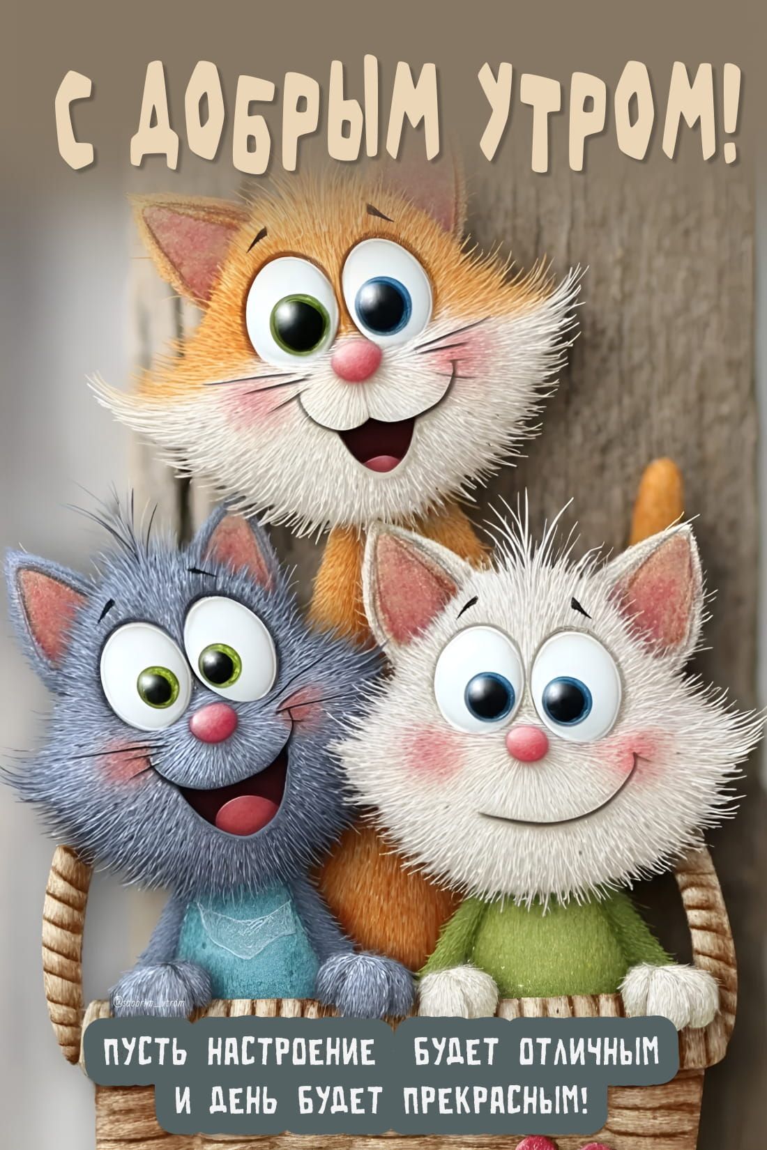 Открытка «С добрым утром»: Доброе утро с милыми котятами и отличным настроением!. Тэги: кот, животное, пожелание…