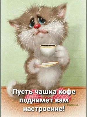 Открытка «С добрым утром»: Поднимаем настроение: кот и чашка кофе утром!. Тэги: хорошего дня, кот, животное, пожелание…