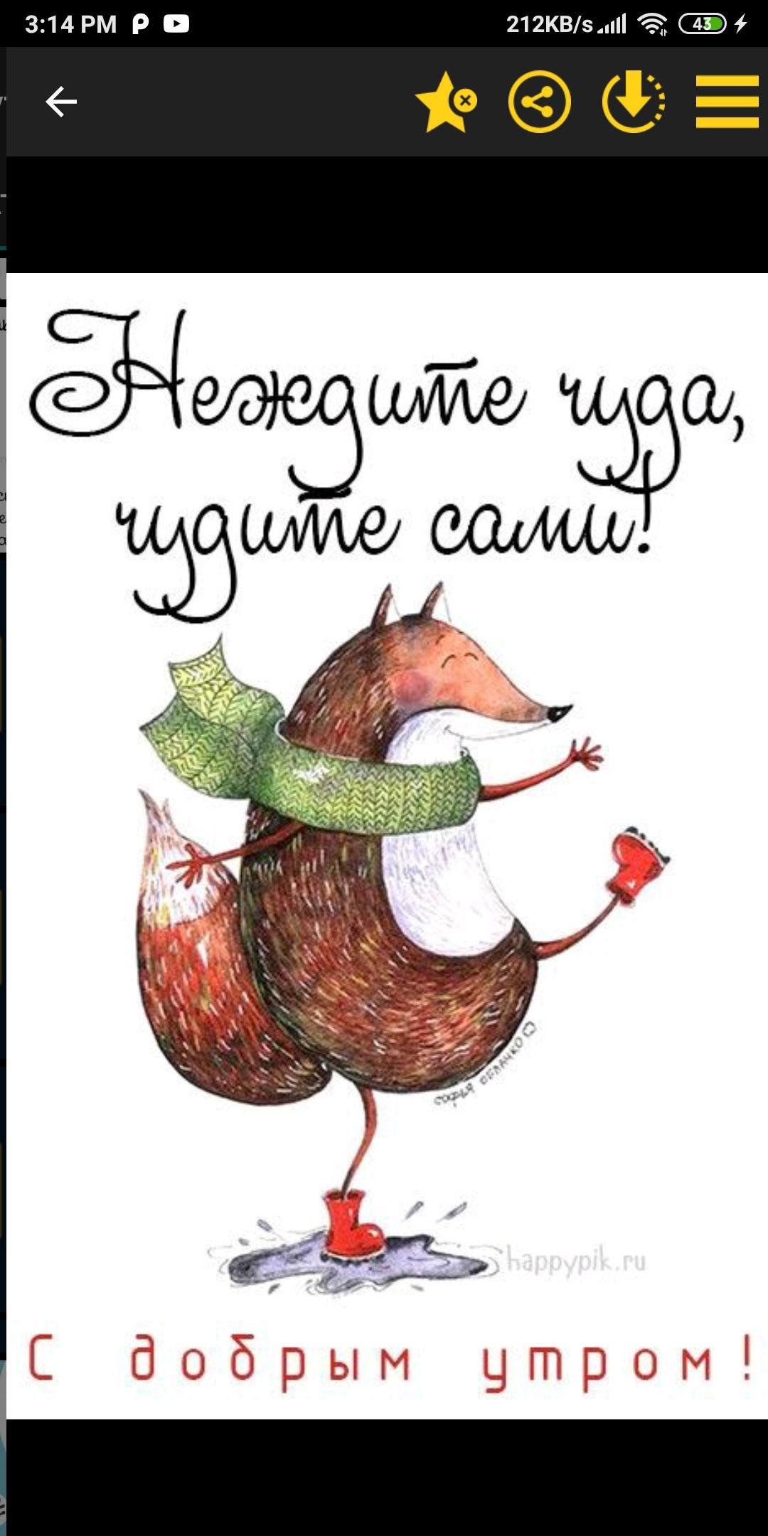 Открытка «С добрым утром»: С добрым утром: не ждите чуда, чудите сами!. Тэги: хорошего дня, животное, пожелание…