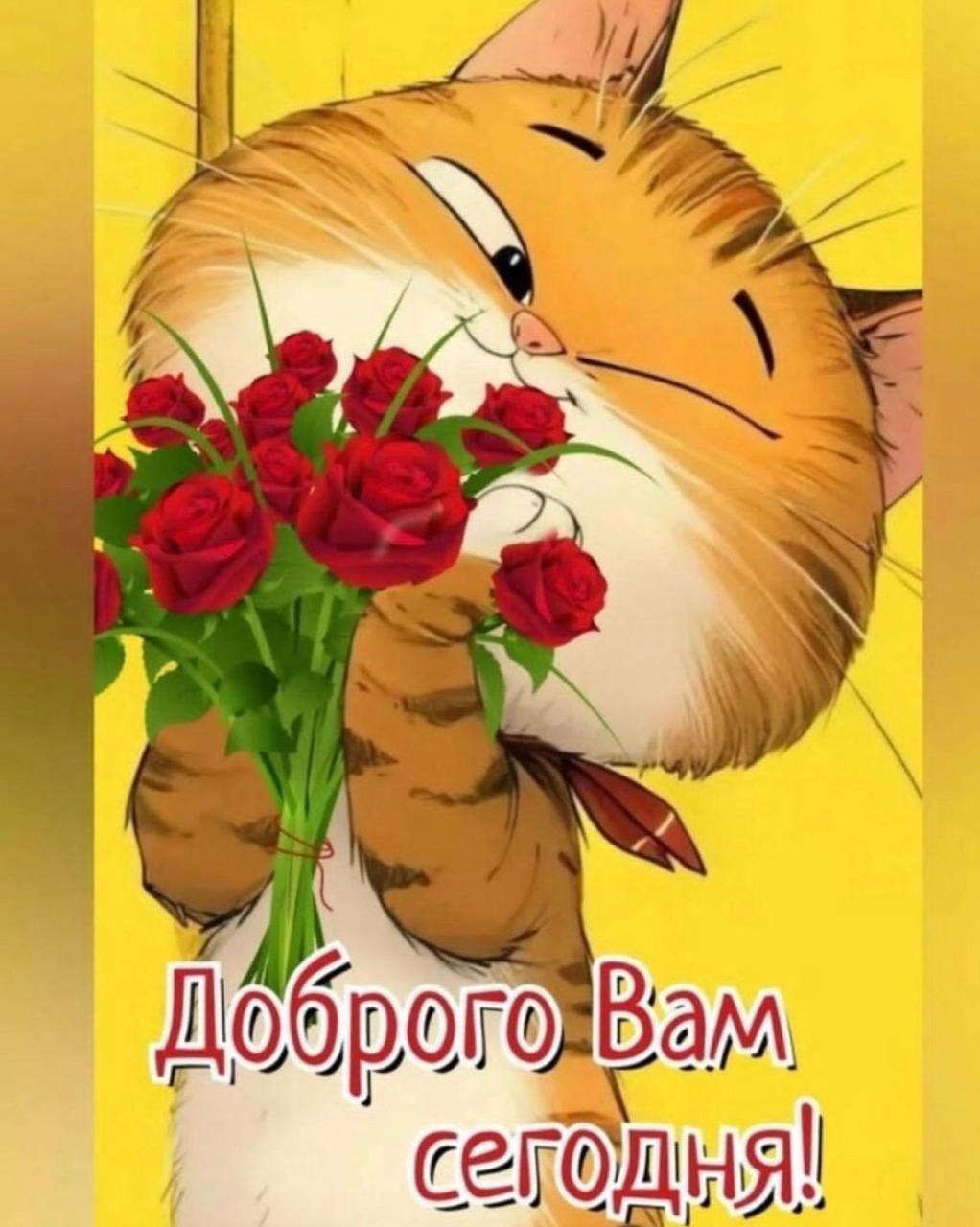 Открытка «Добрый день»: Доброго утра и дня от милого котика с розами!. Тэги: Добрый день и добрые пожелания, Добрый д…