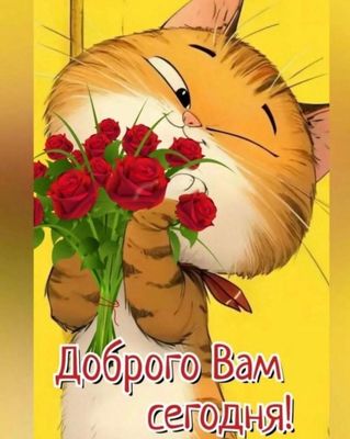 Открытка «Добрый день»: Доброго утра и дня от милого котика с розами!. Тэги: Добрый день и добрые пожелания, Добрый д…