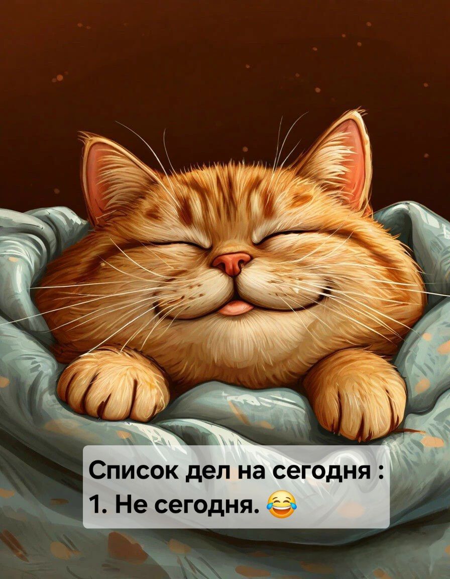 Открытка «С добрым утром»: С добрым утром! Кот и планы на сегодня. Тэги: хорошего дня, кот, животное, пожелание…