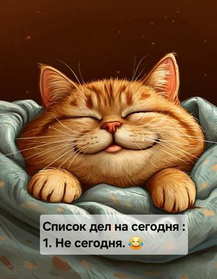 Открытка «С добрым утром»: С добрым утром! Кот и планы на сегодня. Тэги: хорошего дня, кот, животное, пожелание…