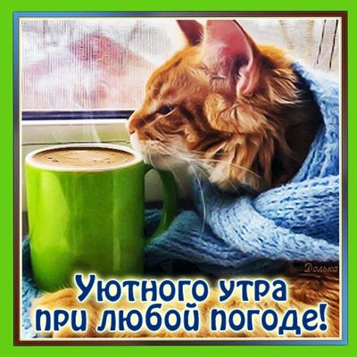 Открытка «С добрым утром»: Уютное утро с котом и чашкой кофе. Тэги: хорошего дня, кот, животное, пожелание, позитивная…