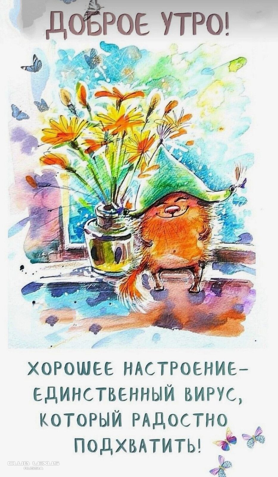 Открытка «С добрым утром»: Доброе утро! Подхвати вирус хорошего настроения!. Тэги: хорошего дня, кот, животное…