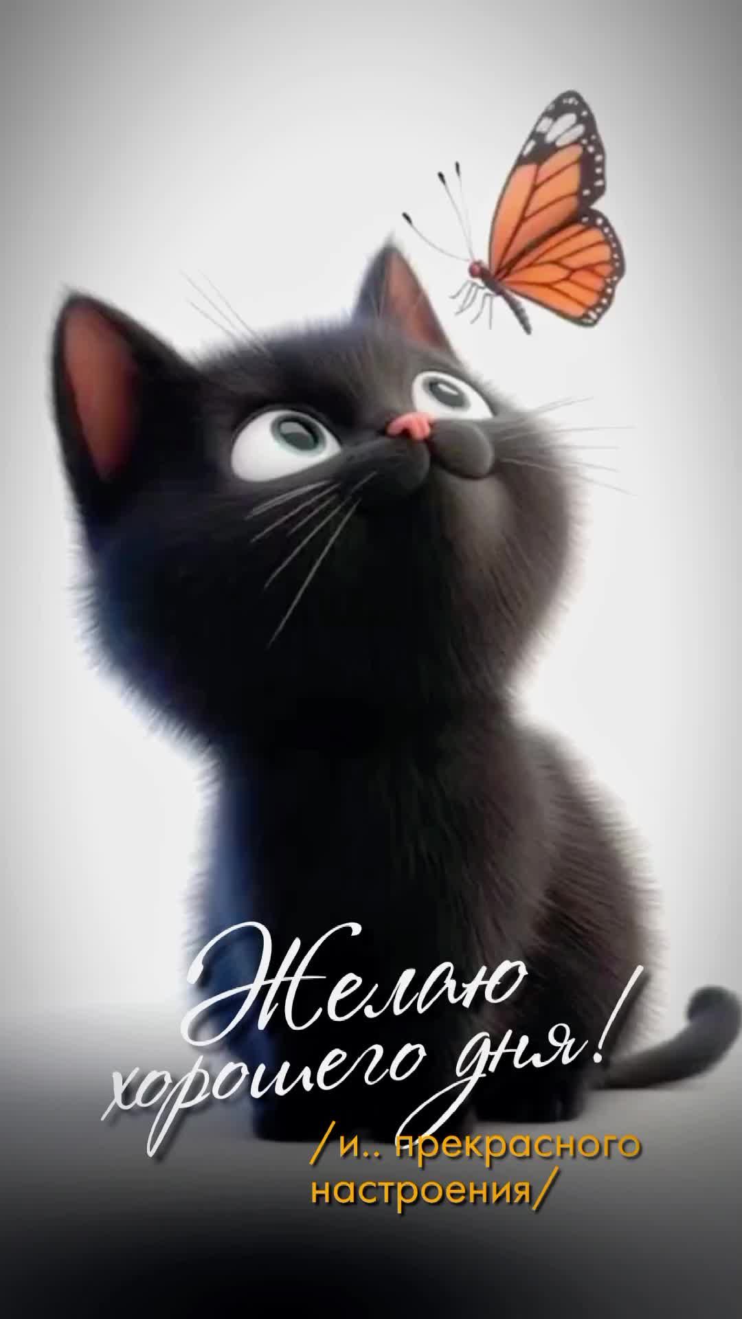Открытка «С добрым утром»: Доброе утро! Милый котёнок и бабочка для настроения. Тэги: хорошего дня, кот, животное…