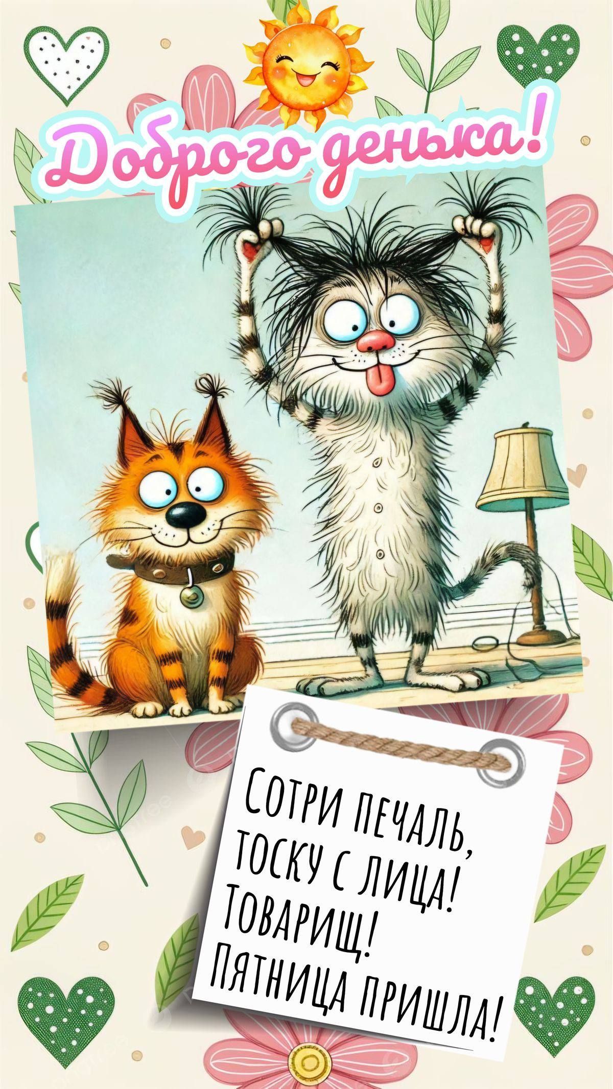 Открытка «С добрым утром»: С добрым утром! Пятница пришла: прогони печаль!. Тэги: кот, животное, пожелание, позитивная…