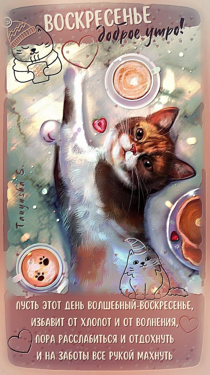 Открытка «С добрым утром»: Воскресное утро с котиком и кофе: время для отдыха!. Тэги: хорошего дня, кот, животное…