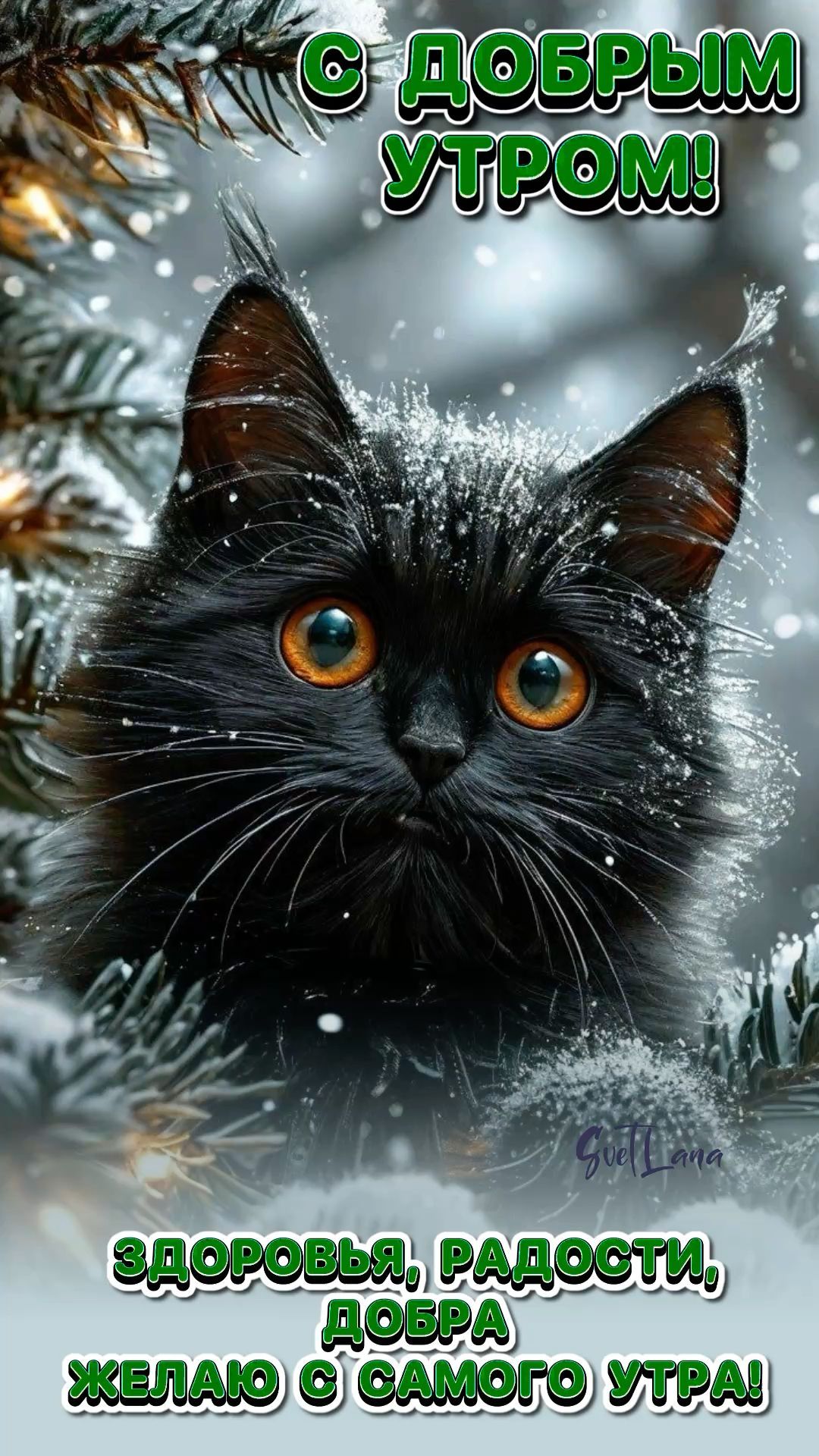Открытка «С добрым утром»: С добрым зимним утром: пушистый кот и добрые пожелания. Тэги: С добрым зимним утром…