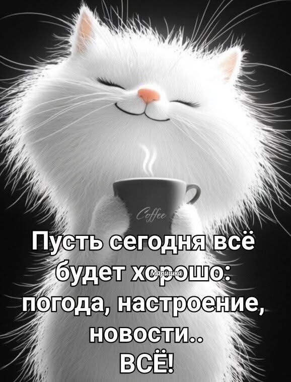 Открытка «С добрым утром»: С добрым утром! Пусть сегодня всё будет хорошо. Тэги: хорошего дня, кот, животное, пожелан…