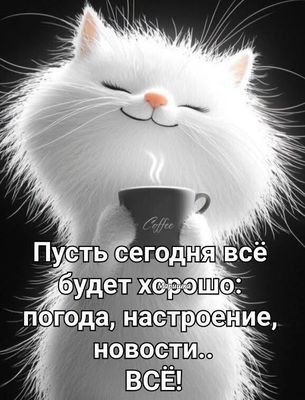Открытка «С добрым утром»: С добрым утром! Пусть сегодня всё будет хорошо. Тэги: хорошего дня, кот, животное, пожелан…