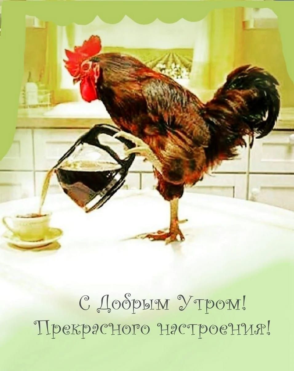 Открытка «С добрым утром»: Доброе утро: кофе, приготовленный петухом!. Тэги: животное, пожелание, позитивная, отлично…