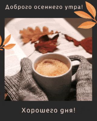 Открытка «С добрым утром»: Осеннее утро с кофе и книгой: уют и пожелания. Тэги: пожелание, позитивная, хорошего дня…