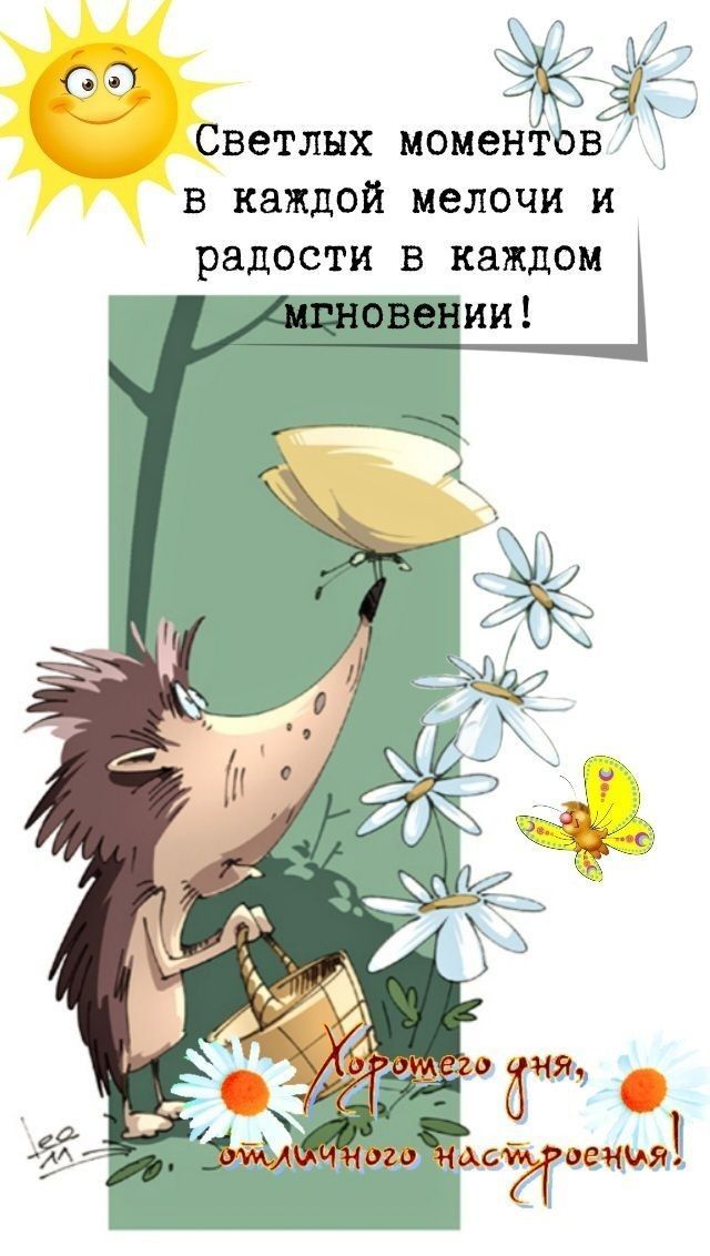 Открытка «С добрым утром»: Доброе утро: ежик, бабочки и светлые моменты!. Тэги: животное, пожелание, позитивная…