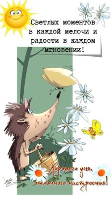 Открытка «С добрым утром»: Доброе утро: ежик, бабочки и светлые моменты!. Тэги: животное, пожелание, позитивная…