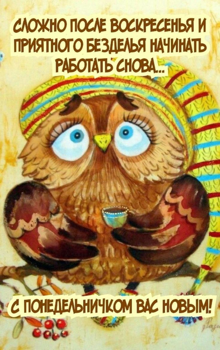 Открытка «С добрым утром»: С добрым утром! Милая сова про понедельник. Тэги: животное, пожелание, позитивная, хорошег…