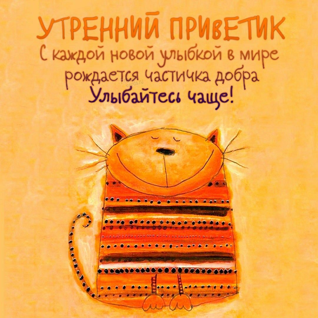 Открытка «С добрым утром»: Утренний приветик: улыбайтесь чаще с милым котом!. Тэги: С добрым утром, для поднятия наст…