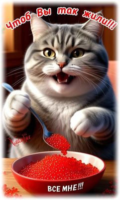 Открытка «Добрый день»: С добрым утром! Чтоб Вы так жили!. Тэги: Добрый день и добрые пожелания, Добрый день, приколь…