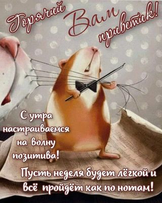 Открытка «С добрым утром»: Музыкальное Доброе Утро: Пусть всё будет как по нотам!. Тэги: С добрым утром, для поднятия…