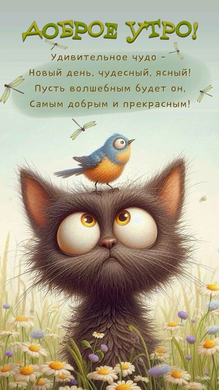Открытка «С добрым утром»: Волшебное утро: кот, птичка и ромашки. Тэги: С добрым утром, для поднятия настроением!…