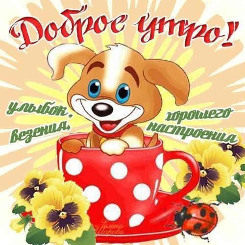 Открытка «С добрым утром»: С добрым утром: милый щенок и море позитива!. Тэги: С добрым утром, для поднятия настроени…