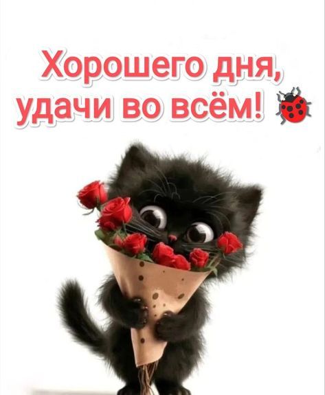Открытка «С добрым утром»: Милый котенок с розами: Хорошего дня и удачи!. Тэги: хорошего дня, кот, животное, пожелание…